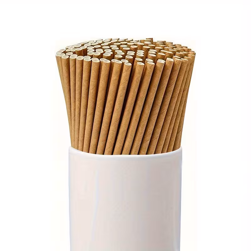 Disposable Paper Straws – Brown – 100 pcs